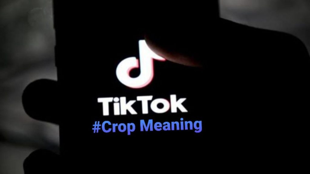 what does crop mean on tiktok